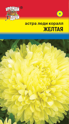 цАстра Леди Корал Желтая