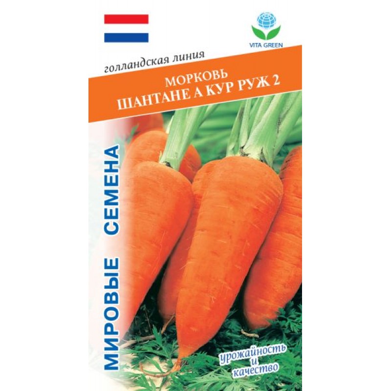 Огурцы шантане. Морковь раньше. Семена Гавриш Syngenta морковь Шантенэ а кур Руж 2 0,5 г. Семена Гавриш AGROELITA морковь Шантенэ а кур Руж 2 1 г