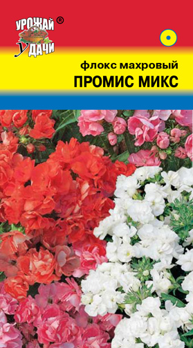 Флокс Промис микс 5шт