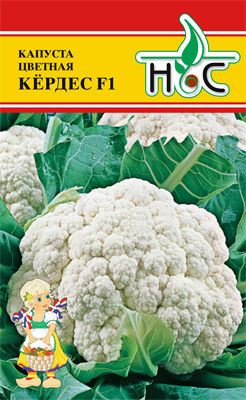Капуста цветная Кёрдес 0,05г (Seminis / Нидерланды)