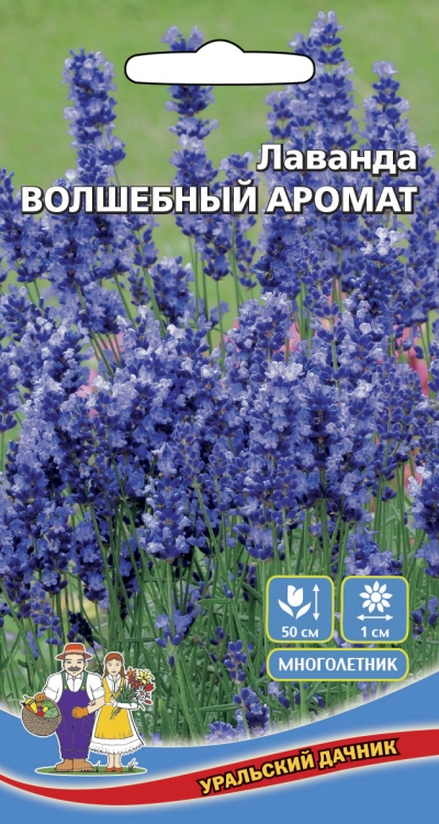 Лаванда Волшебный аромат