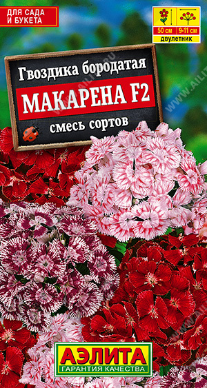 Цветок Немезия Макарена (0,05 гр.) l Русские Семена - интернет-магазин.