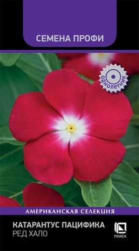 Катарантус Пацифика Ред Хало 10шт (Семена Профи)