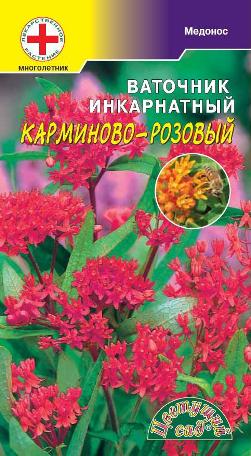 цВаточник Карминово-розовый