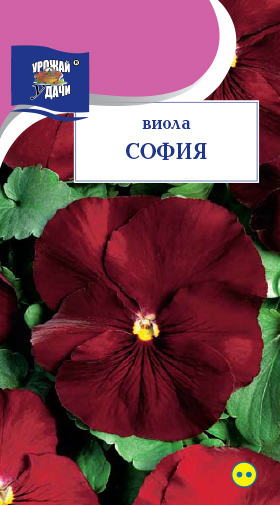 Виола София 0,1г