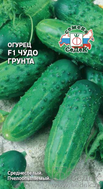 Огурец Чудо грунта 0,3г
