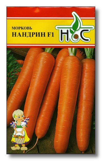 Морковь нандрин