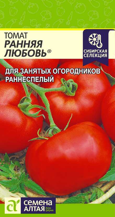 ранняя любовь томат