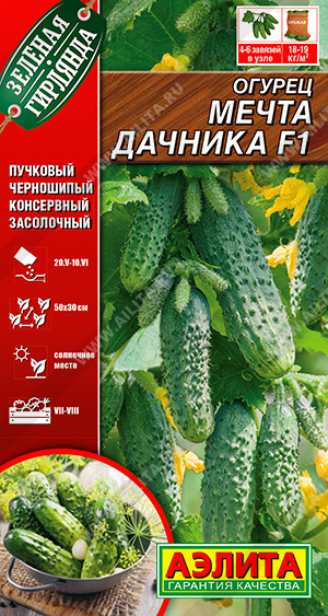 Огурец Мечта дачника 10шт