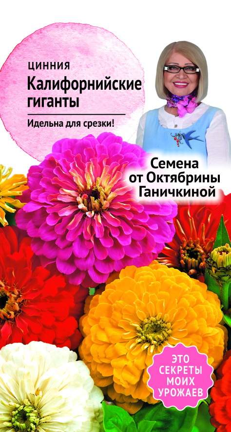 цЦинния Калифорнийские гиганты смесь 0,4г (семена от Ганичкиной)