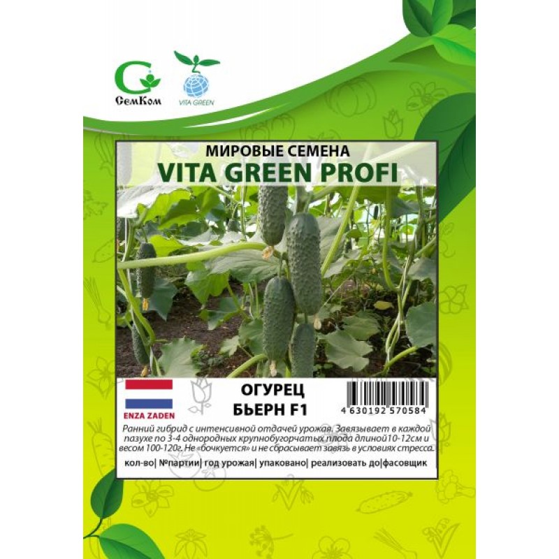 Огурец Бьерн 50шт  VITA GREEN ПРОФИ