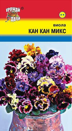 цВиола Кан кан микс