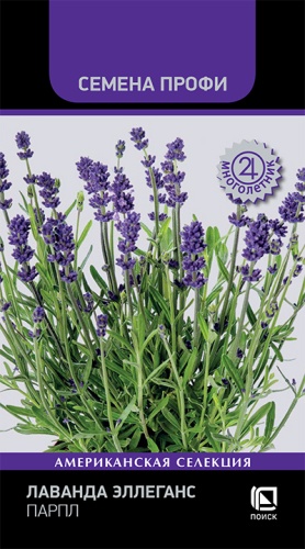 Лаванда Эллеганс Парпл 10шт (Семена Профи)