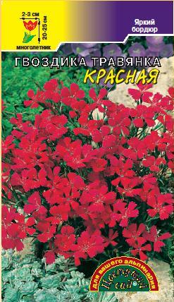 цГвоздика травянка Красная