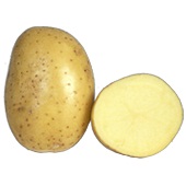 Картофель Джелли (1 кг)