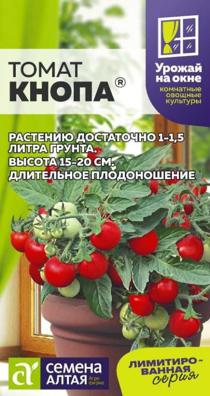 Томат Кнопа 5 шт