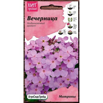 цВечерница Матроны (Ночная фиалка) 0,2г АСТ