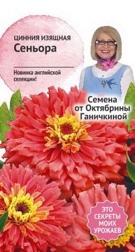 цЦинния Сеньора 10 шт (семена от Ганичкиной)