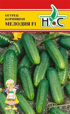Огурец Мелодия 5шт Rijk Zwaan / Нидерланды.
