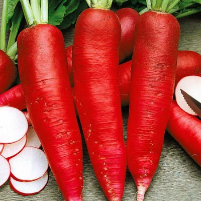 Редька Кармина 1г