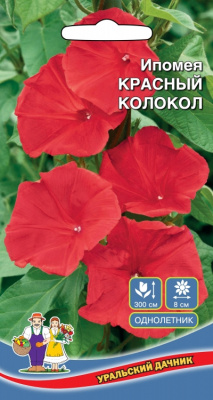 цИпомея Красный колокол