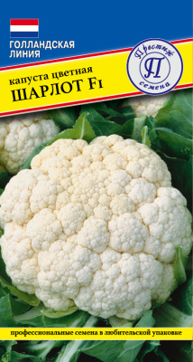 Капуста цветная Шарлот 7шт (Голландия)