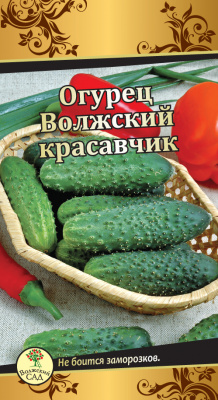 Огурец Волжский красавчик 5шт