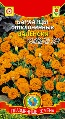цБархатцы Валенсия