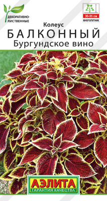 Колеус балконный Бургундское вино 5шт