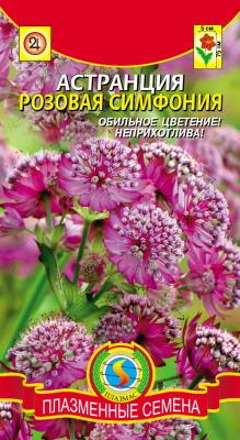 цАстранция Розовая Симфония 4шт