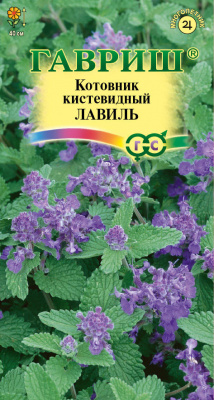 цКотовник Лавиль кистевидный 0,03г