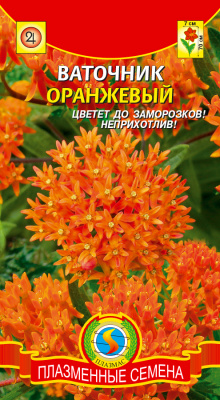 цВаточник оранжевый