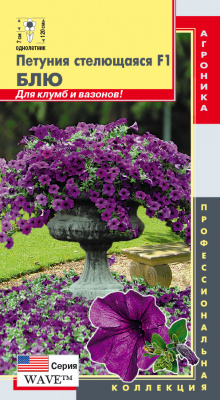 цПетуния стелющаяся Блю