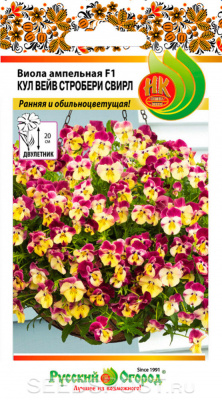 цВиола Кул вейв стробери свирл 3шт