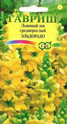 цАнтирринум Эльдорадо (Львиный зев) 0,1г