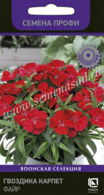 цГвоздика Карпет Файр 10шт (Семена Профи)
