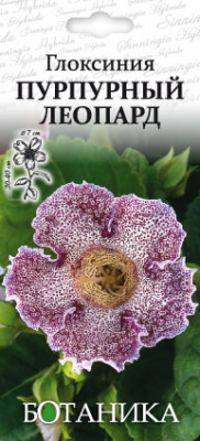 цГлоксиния Пурпурный леопард 7шт