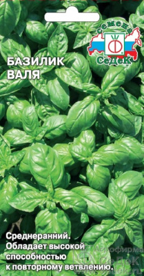 Базилик Валя