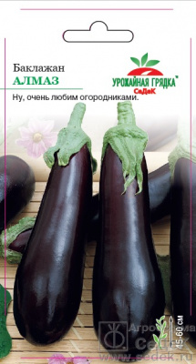 Баклажан Алмаз Урожайная грядка