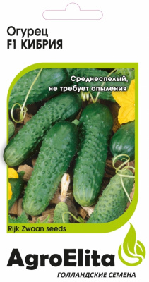 Огурец Кибрия 5шт (Райк Цваан)