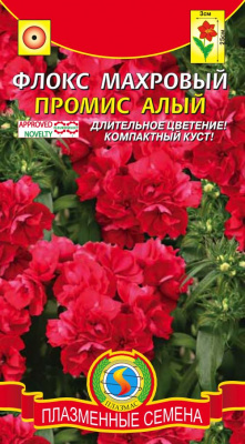 цФлокс Промис Алый махр. 5шт