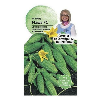 Огурец Маша 8 шт (от Ганичкиной)