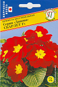 цПримула Данова Скарлет, 5 шт