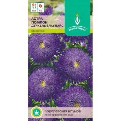 цАстра Помпон Дункель блау вайс