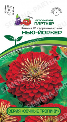 Цинния Нью-Йокер (Сочные тропики) 4шт