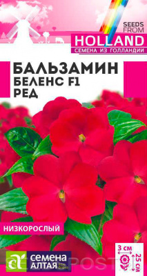 цБальзамин Беленс Ред 4шт