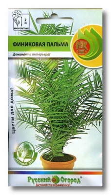 Финиковая пальма 5шт