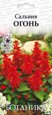 цСальвия Огонь 0,1 г