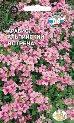 цАрабис Встреча