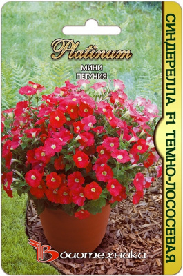 Петуния мини Синдерелла темно-лососевая 20шт